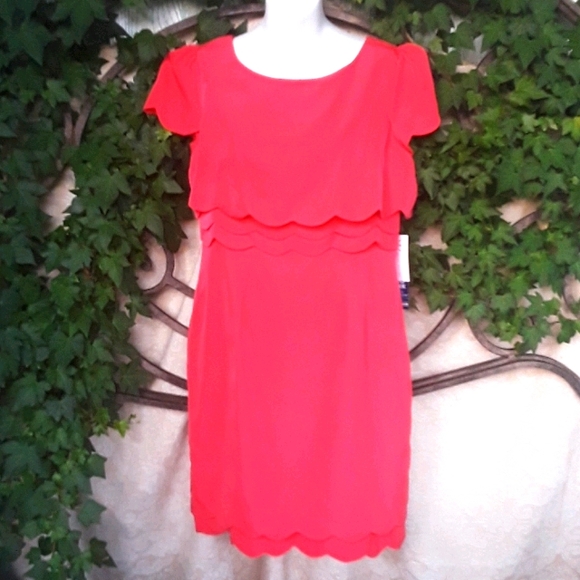 Megan Masters Dresses & Skirts - HP ×2 🎉👗🎉PRICE  DROP 🌹NWT BEAUTIFUL DRESS